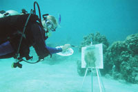 Aquart : une exposition d’oeuvres multimédias... à voir sous l’eau !