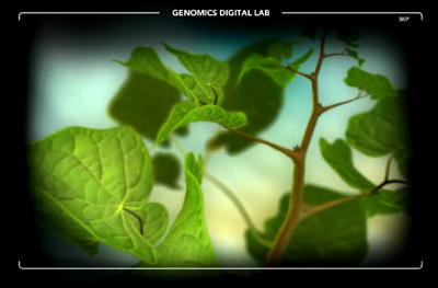 La biologie est un jeu d’enfant, avec le Labo Digital de Génomique