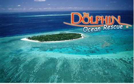 The Dolphin Ocean Rescue : un premier projet ambitieux