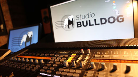 Studio Bulldog : ça sonne en chien