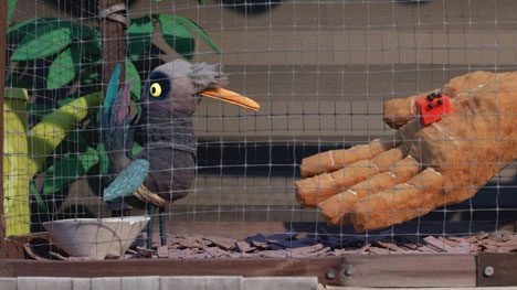 EN DIRECT DE SXSW - Avec « Birdlime », Evan DeRushie veut éveiller les esprits à la traite d’animaux sauvages