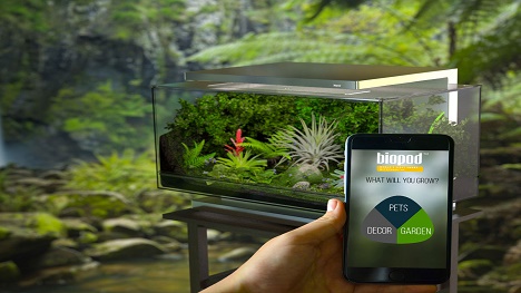 Biopod, une appli pour aménager et gérer un terrarium
