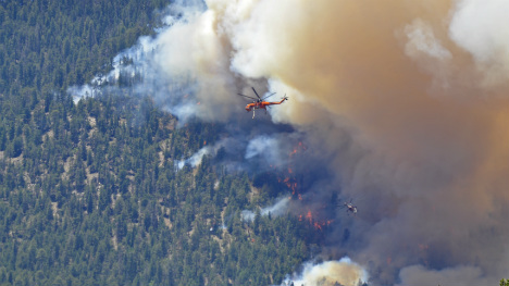 Un drone cause un incendie de forêt aux États-Unis