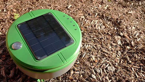 Tertill : Le robot de désherbage solaire pour les jardins familiaux 