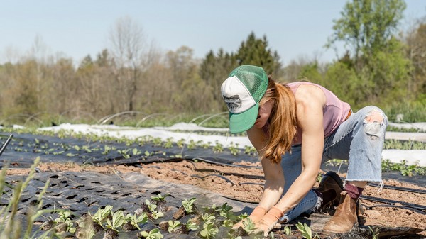 Québec appuie un projet d’automatisation grâce à l’IA appliquée au secteur agricole