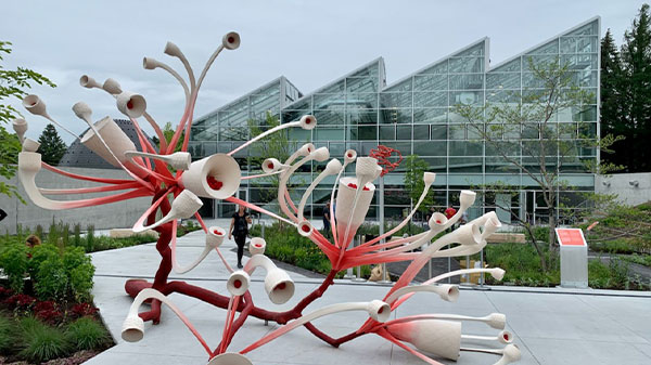 Une fleur 3D géante s’installe à l’Instectarium de Montréal