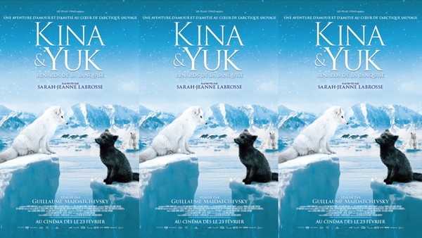 Les Films Opale dévoile l’affiche de « Kina & Yuk : Renards de la banquise »
