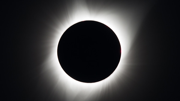 Espace pour la vie et la Société du parc Jean-Drapeau célèbreront l’éclipse du siècle